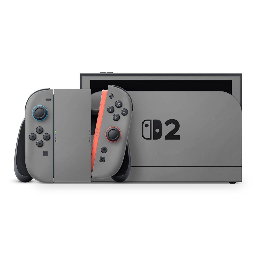 Balanced Grey Nintendo Switch 2 Decal Skin