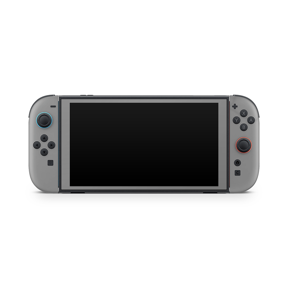 Balanced Grey Nintendo Switch 2 Decal Skin